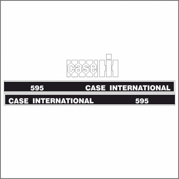 Case 595